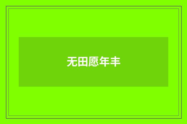 无田愿年丰