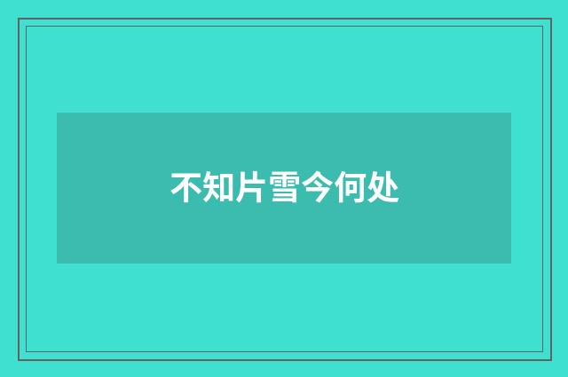 不知片雪今何处