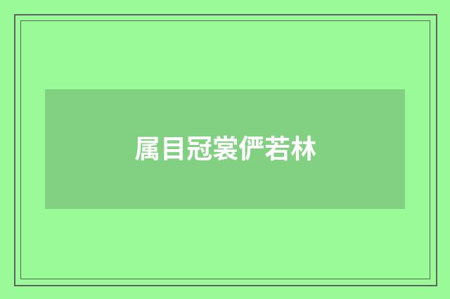 属目冠裳俨若林