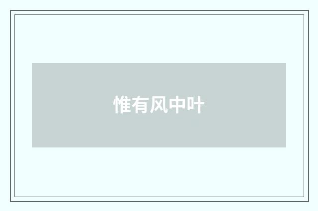 惟有风中叶