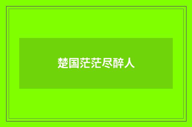 楚国茫茫尽醉人