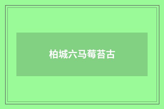 柏城六马莓苔古