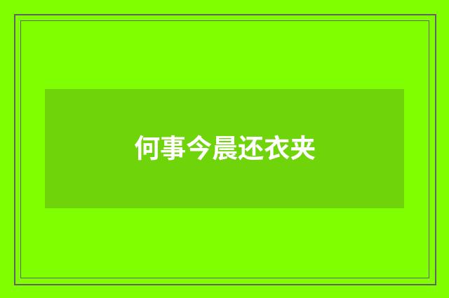 何事今晨还衣夹