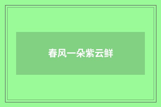 春风一朵紫云鲜