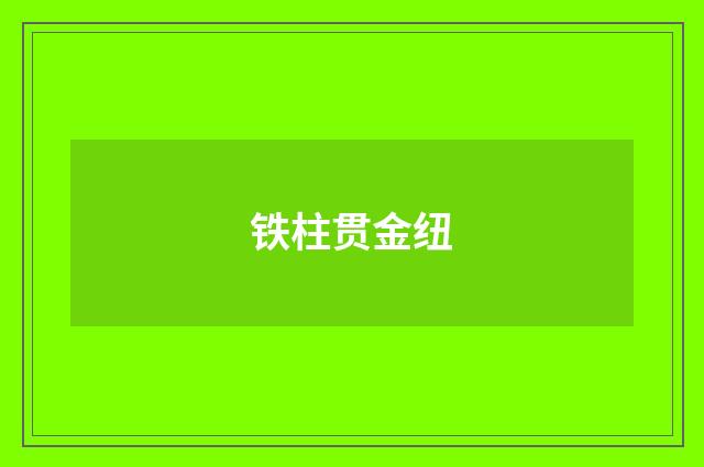 铁柱贯金纽