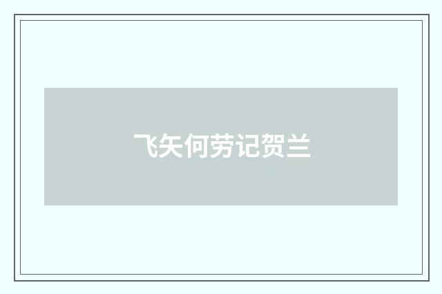 飞矢何劳记贺兰