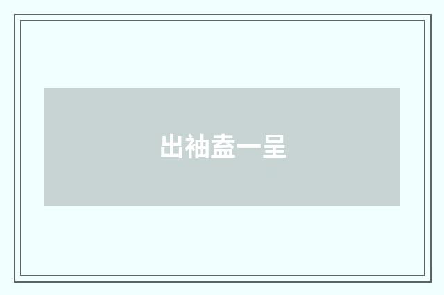 出袖盍一呈