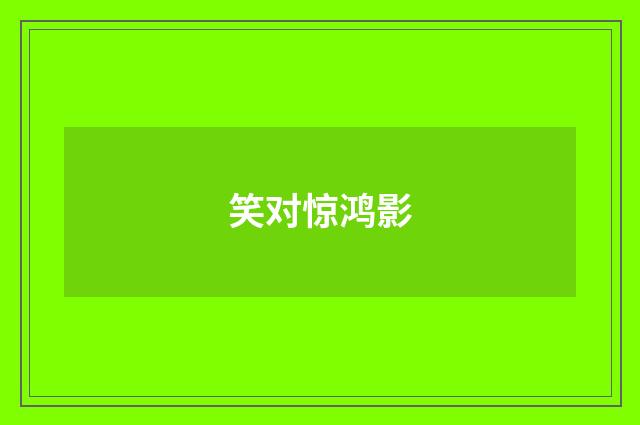 笑对惊鸿影