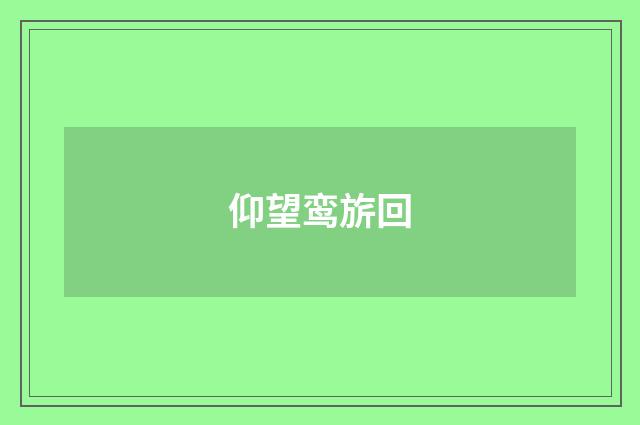 仰望鸾旂回