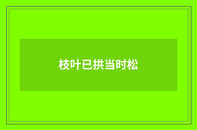 枝叶已拱当时松