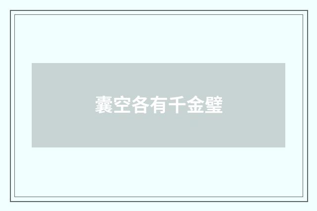 囊空各有千金璧