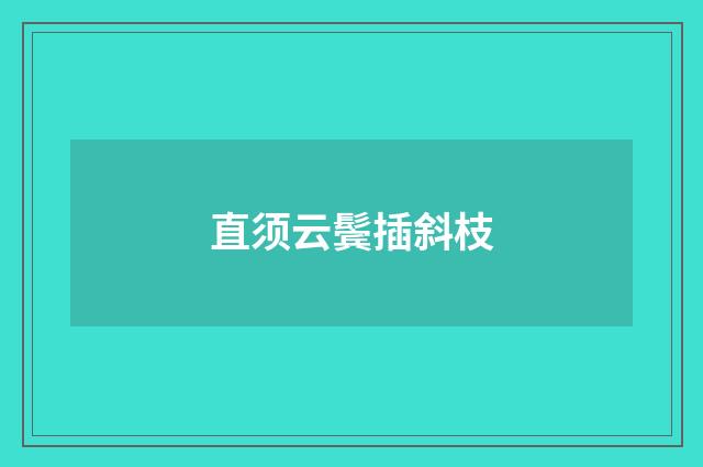直须云鬓插斜枝