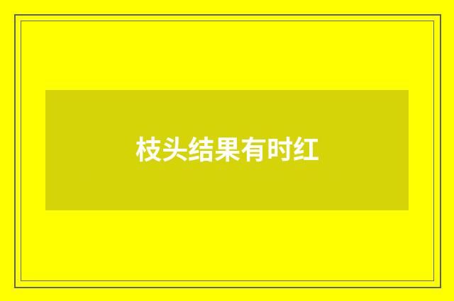 枝头结果有时红
