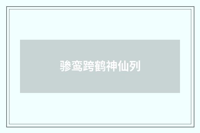 骖鸾跨鹤神仙列