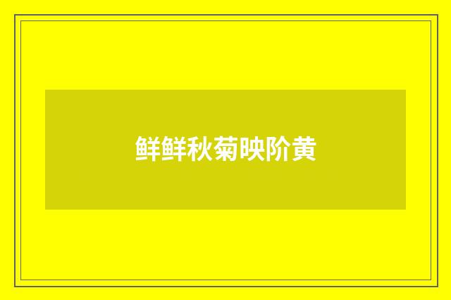鲜鲜秋菊映阶黄