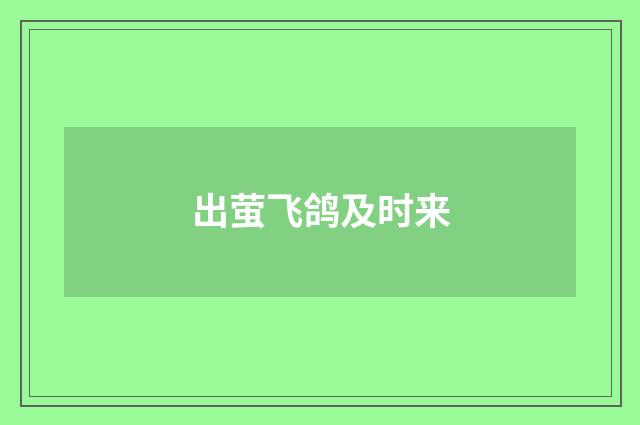 出萤飞鸽及时来