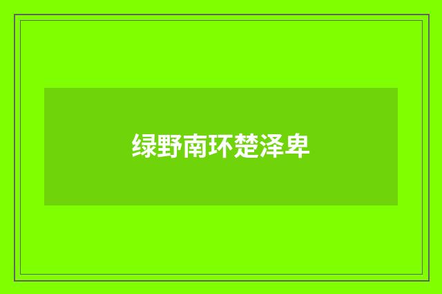 绿野南环楚泽卑