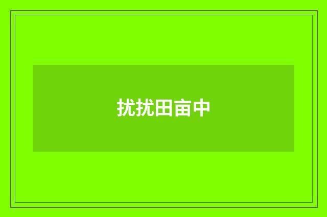 扰扰田亩中