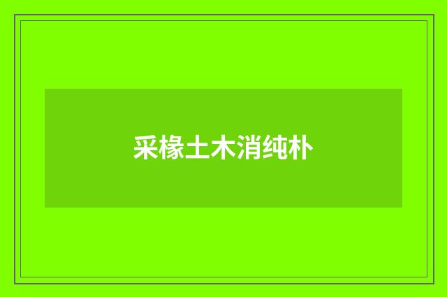 采椽土木消纯朴