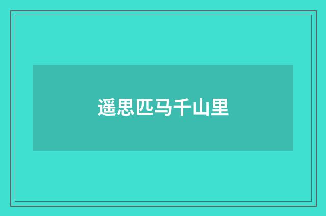 遥思匹马千山里
