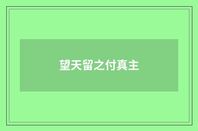 望天留之付真主