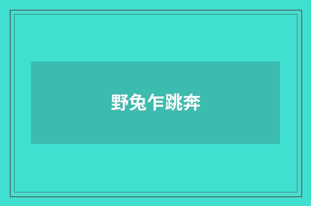 野兔乍跳奔