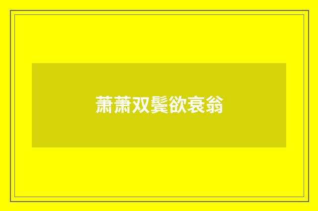 萧萧双鬓欲衰翁
