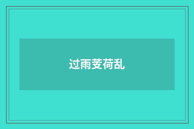过雨芰荷乱