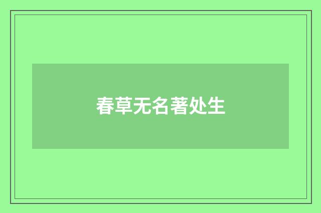春草无名著处生