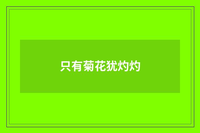 只有菊花犹灼灼