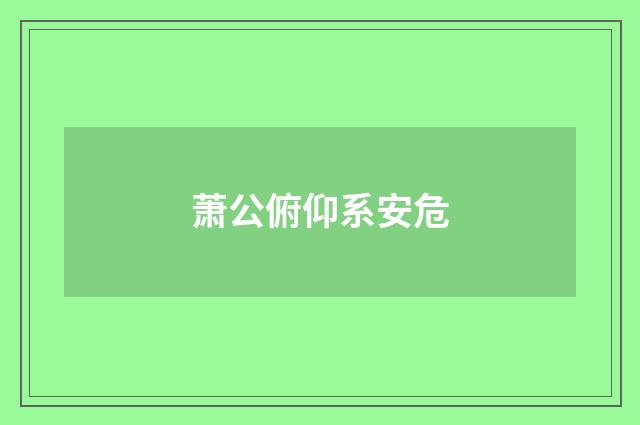 萧公俯仰系安危