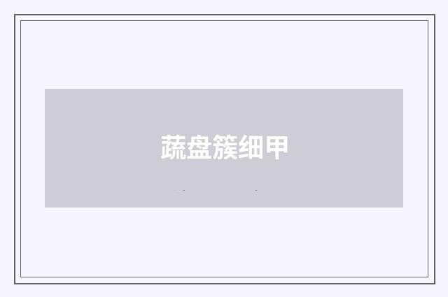 蔬盘簇细甲