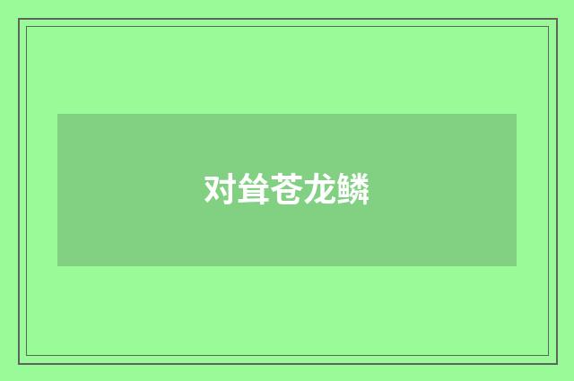 对耸苍龙鳞