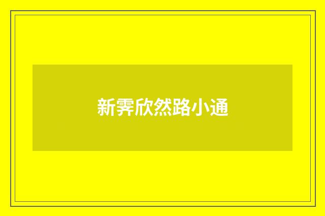 新霁欣然路小通