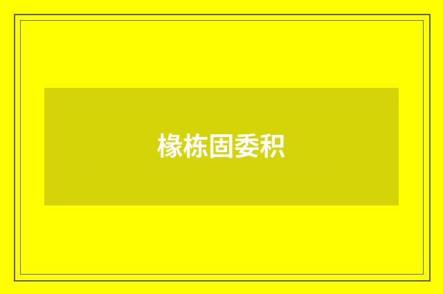 椽栋固委积