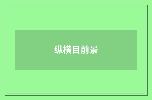 纵横目前景