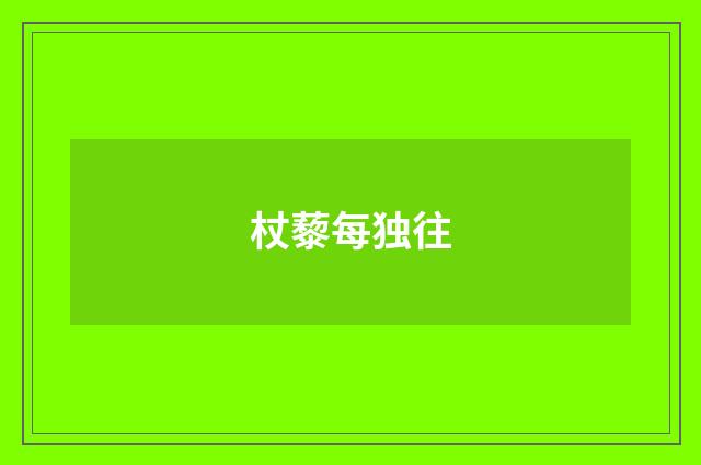 杖藜每独往
