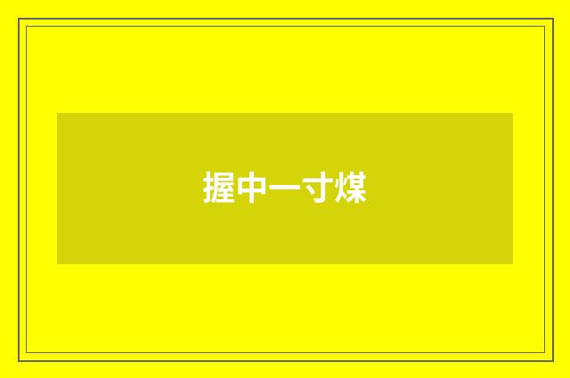 握中一寸煤