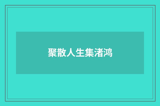 聚散人生集渚鸿