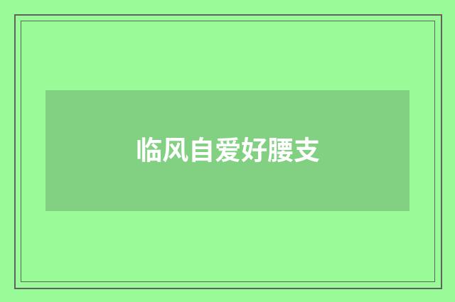 临风自爱好腰支