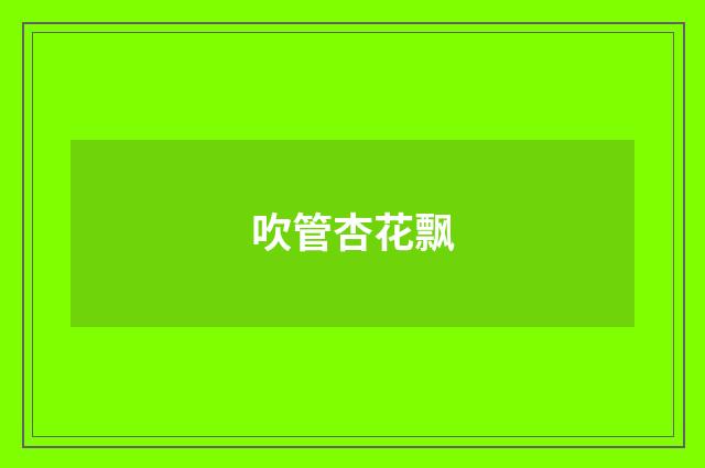 吹管杏花飘