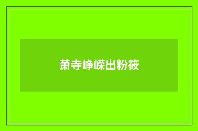 萧寺峥嵘出粉筱