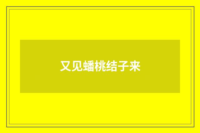 又见蟠桃结子来