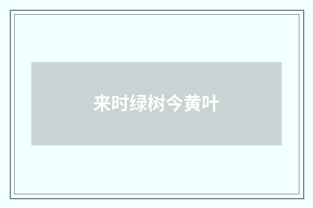 来时绿树今黄叶