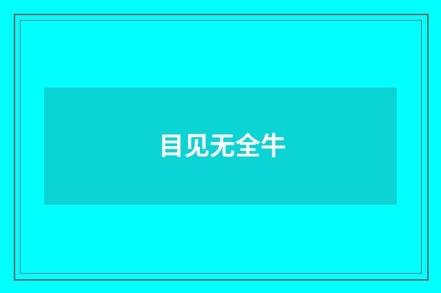目见无全牛