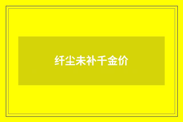 纤尘未补千金价