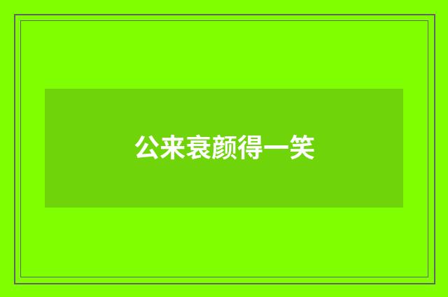 公来衰颜得一笑