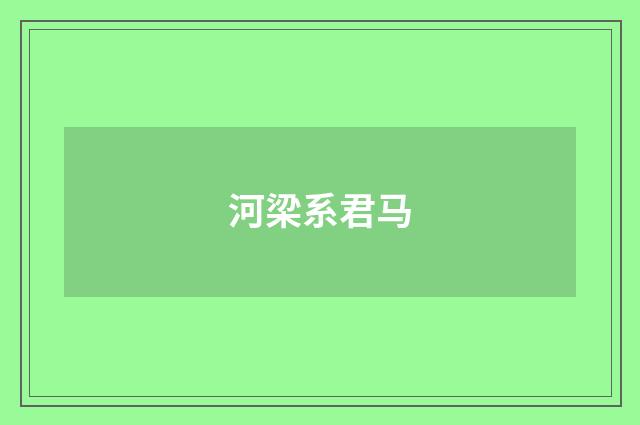 河梁系君马