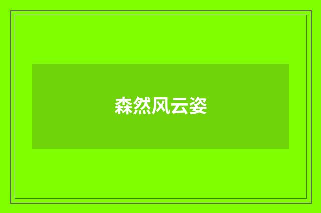 森然风云姿