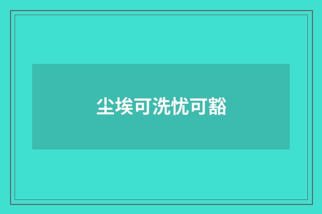 尘埃可洗忧可豁
